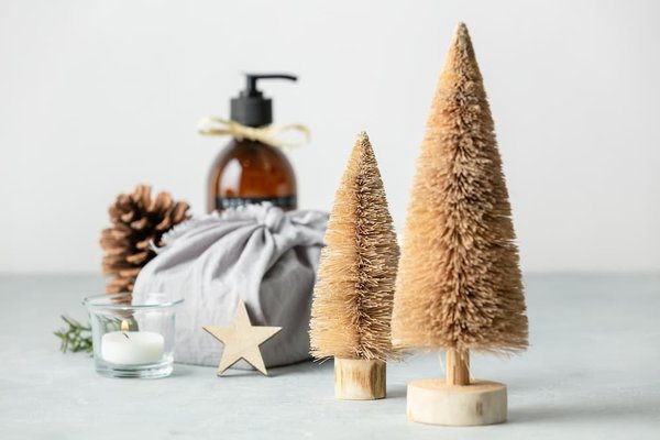 Comment suivre votre empreinte carbone quotidienne avec une application sur un iPhone 14 Pro?